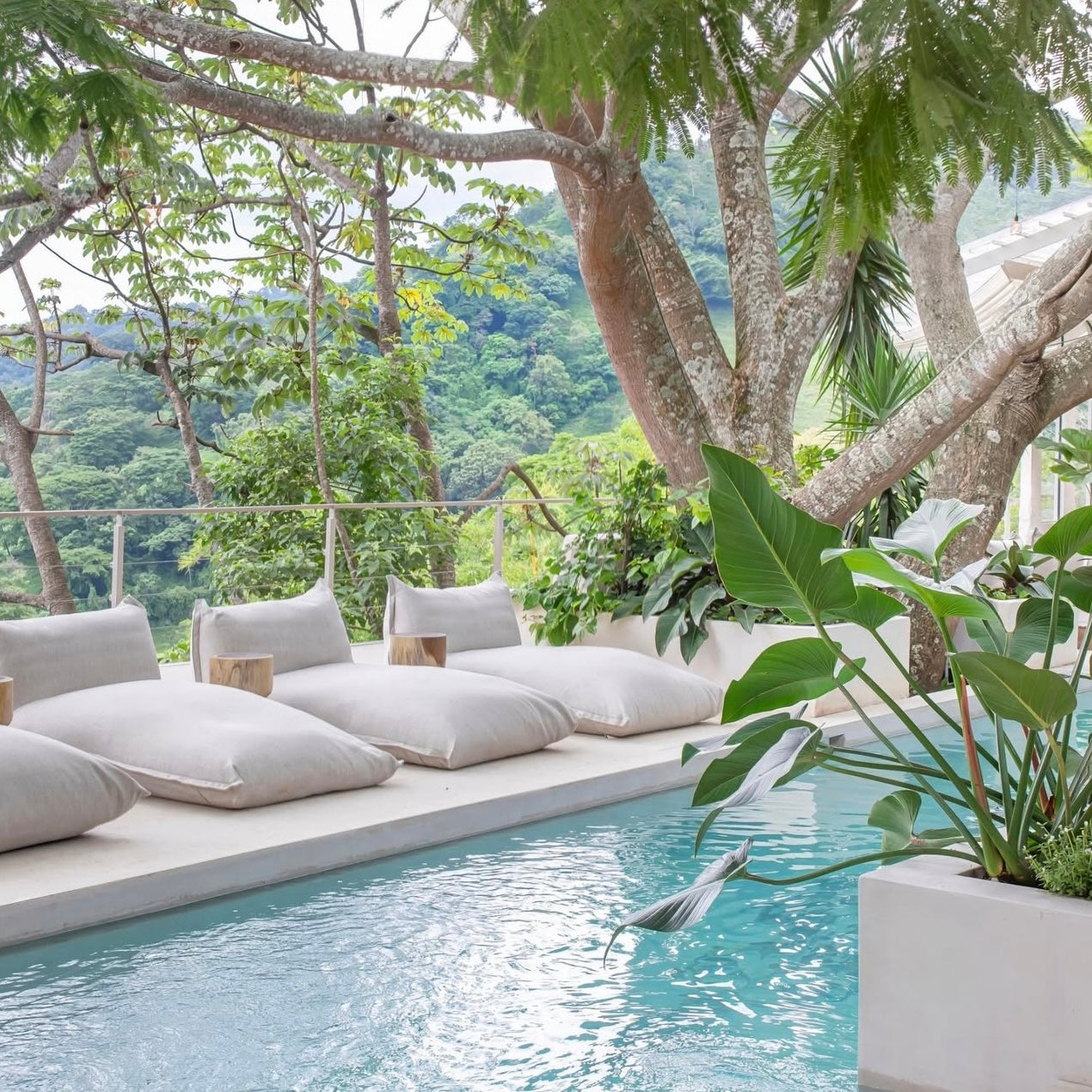 Retreats, Corporate Wellness and Curated Events